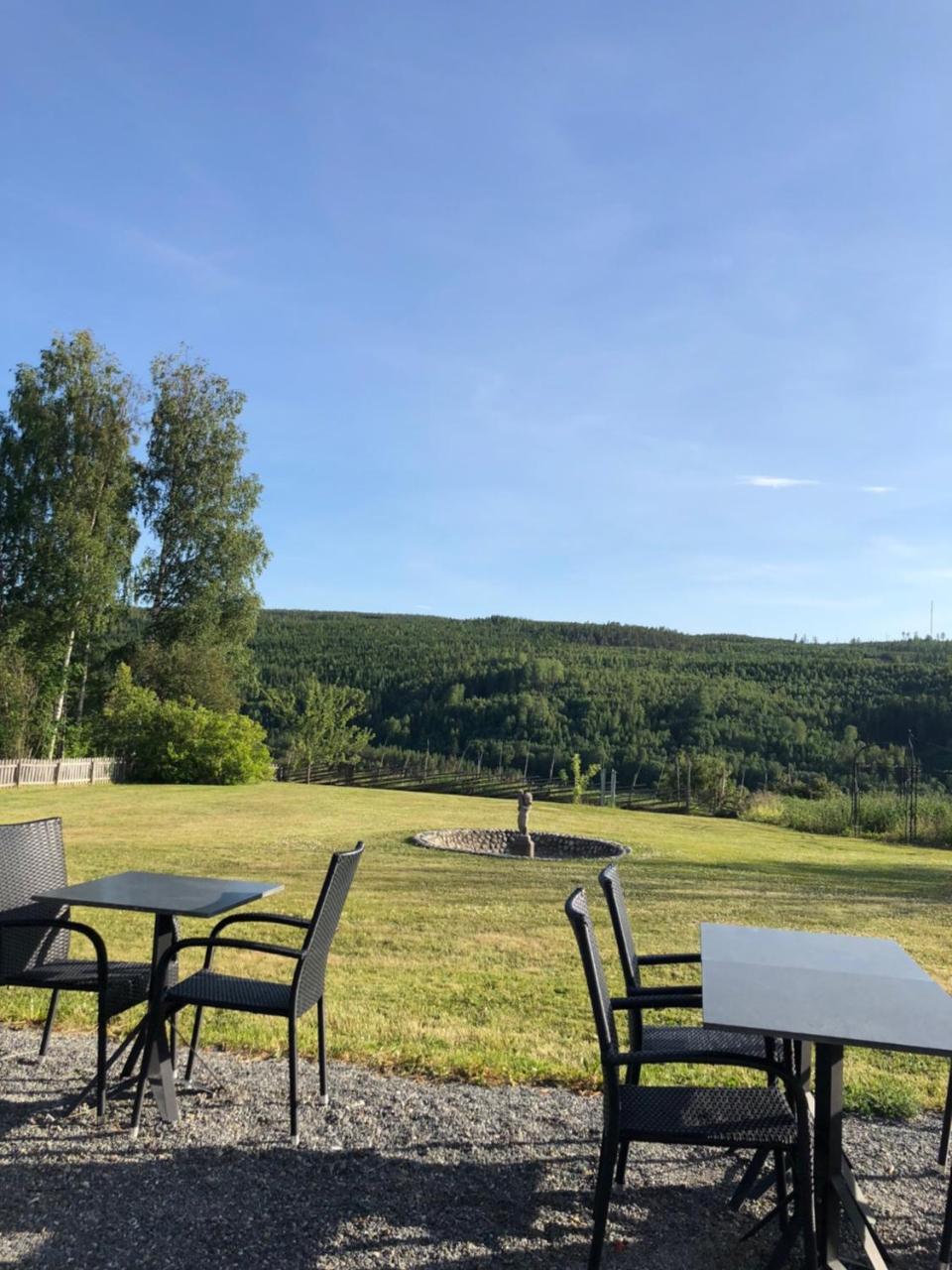 Hotell Restaurang Naemforsen Nasaker ภายนอก รูปภาพ